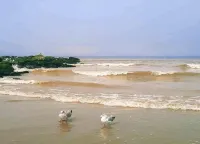 Charming Apartment Near Beach