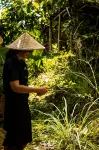 Bali Jungle Camping by Amerta Experience Hotels near Bali