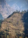 The Void - Tirthan Valley Hotels in Pekhri