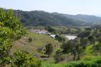 Spacious villa in beautiful surroundings - 2-Star
