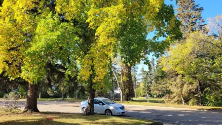 Main Floor Suite Отели в г. Стетлер