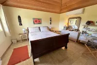 Garden of Light,Charming Oceanfront Villa,Tiki Huts& Generator,10% off 7+ nights Hotel a North Palmetto Point