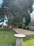 Maisonnette in wooded park pétanque court, children's games BBQ near beaches