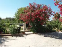 Apartment Mirto 300 meters from the beach of Santa Maria del Focallo Sito Archeologico Del Parco Forza附近的飯店