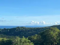 Villa F4 vue mer Dans un Écrin de Verdure au Calme à Proximité des Plages du sud