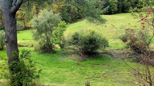 Montpelier 3 bedroom house located on Terrace St a 5 min walk to downtown. Montpelier otelleri