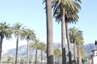 Brand new Luxury 4 bedroom home close to the beach Hotels in Santa Paula