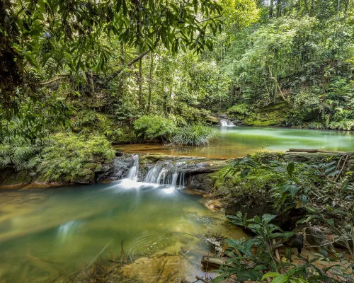 Borneo Tropical Rainforest Resort Berhampiran Hotel Photos