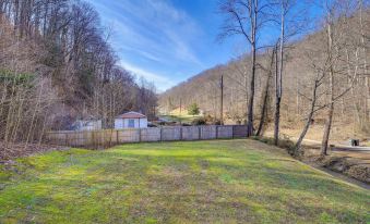 8 Mi to Hatfield-mccoy Trails: Cabin in Delbarton