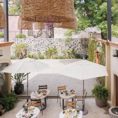 Orchid House Coyoacán