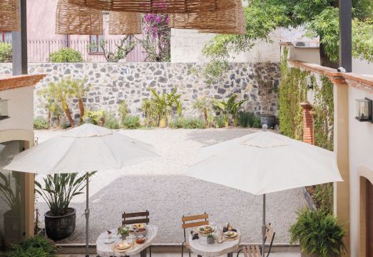 Orchid House Coyoacán 내부 객실