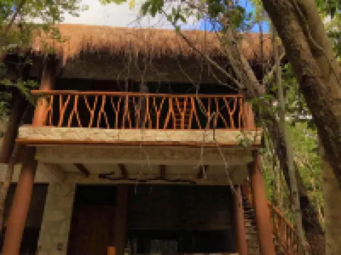 Aldea Maya-Ha Cabañas Con Cenotes Hotels near Jardin Botanico Dr. Alfredo Barrera Marin