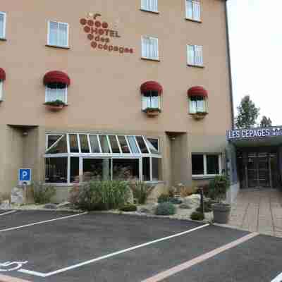 Logis Hôtel des Cépages Hotel Exterior