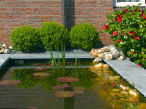 Hotel de Magneet Hotels in Hoorn