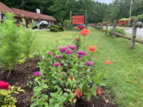 Pine Crest Motel & Cabins Hotels in Orleans County