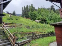 Chalet La Plagne (Paradiski) - sleeps 9 - at the foot of the slopes