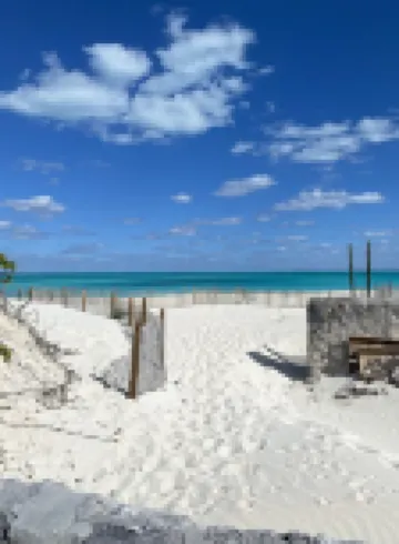 Escape to the Beach