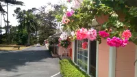 Butterfly Grove Inn