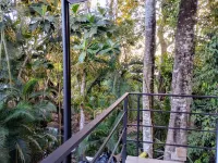 Casajungla Hostel - Scenic