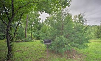 Cabin in Mill Spring Near Parker-Binns Winery