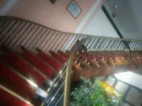 Surucu Hoteli Hotels in Milas