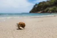 Anda Lanta Resort - pantai