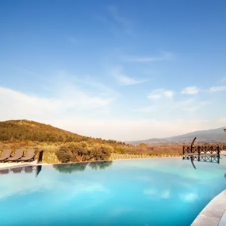 Vinifera Vineyards Hotel