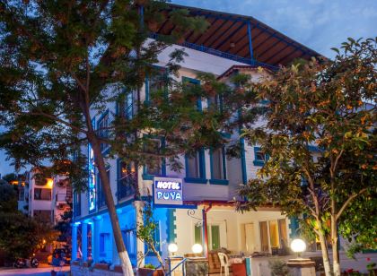 Hotel Puya