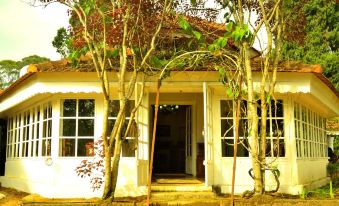 The Tredis Heritage by the Lake