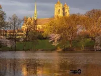 Charming Travel Nest Hotels in East Orange