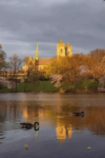 Charming Travel Nest