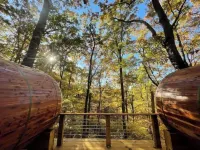 Family & Pet Friendly Treehouse with Amazing Views