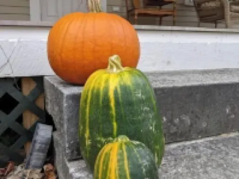 Large studio with private bath and kitchenette Hotels in Rumney