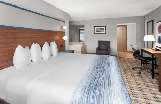 巴拉布活動中心温德姆阿美瑞辛套房酒店