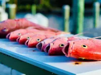 Sea Orchid a 2-2 house, located on Green Turtle Cay Abaco Bahamas