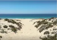 Beautiful 3 bedroom Villa in Torre Comporta 20 min walk from the beach.
