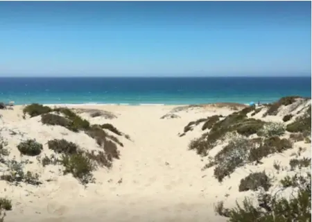 Beautiful 3 bedroom Villa in Torre Comporta 20 min walk from the beach.