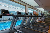 Sheraton Santiago Hotel and Convention Center - Gym