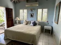 Private, Secluded Villa with Panoramic Caribbean Sea and Nevis Peak Views. のホテル
