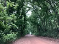 SPRING DISCOUNT Charming 3 bedroom log cabin near Bella Vista Ar. Private
