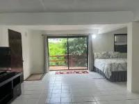 Charming 1-bedroom studio in the quiet hills of St Thomas with WiFi, AC Hotels in West End