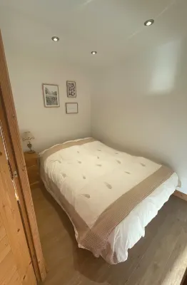 Completely renovated apartment with Mont Blanc view