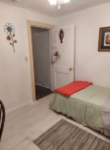 Charming 1-bedroom House 2 miles from Downtown Lexington - The Owlhouse Hotels in Lexington