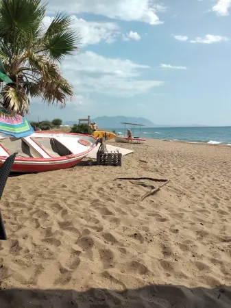 Cozy studio apartment in the middle of a large garden. Have dogs. Отели в г. Трифилија