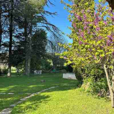 Villa Massada Hotel Exterior