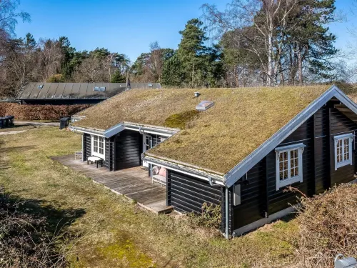 "Franka" -  from the sea