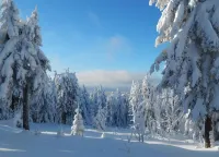 Peaceful Couples' Getaway Hotels in Breitenbrunn