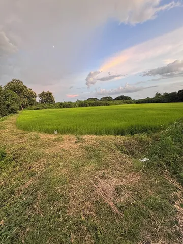 รูปภาพของLuxury Villa Lacroix Organic FarmStay Chiang Mai