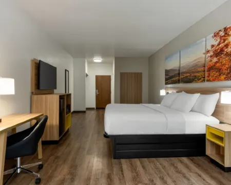 Days Inn by Wyndham Lexington Hotels in Davidson County