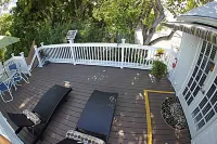 시스케이프 트로피칼 인